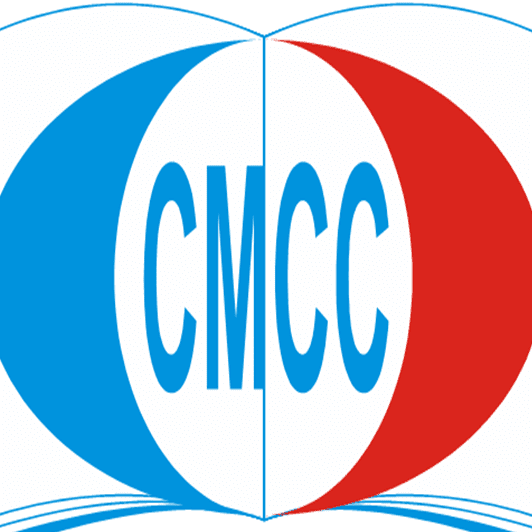 Ca Mau Community College_logo