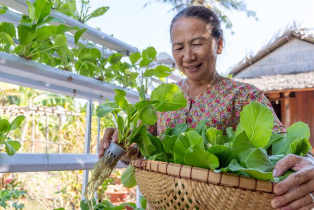 Mekong Salt Lab Projects Cover