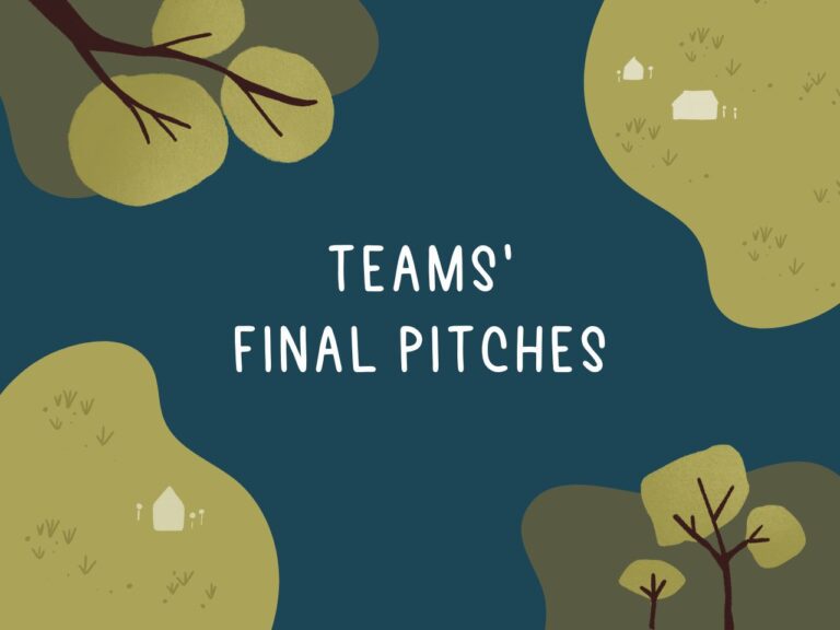 Teams final pitches